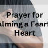 Prayer for Calming a Fearful Heart